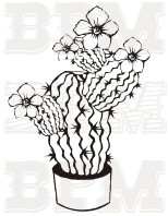 /album/kvety-stromy/kvety-36-jpg/